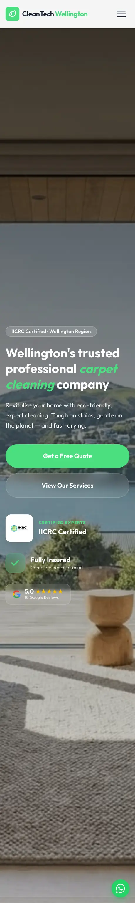 Sitio de CleanTech Wellington, hecho por RayoWeb