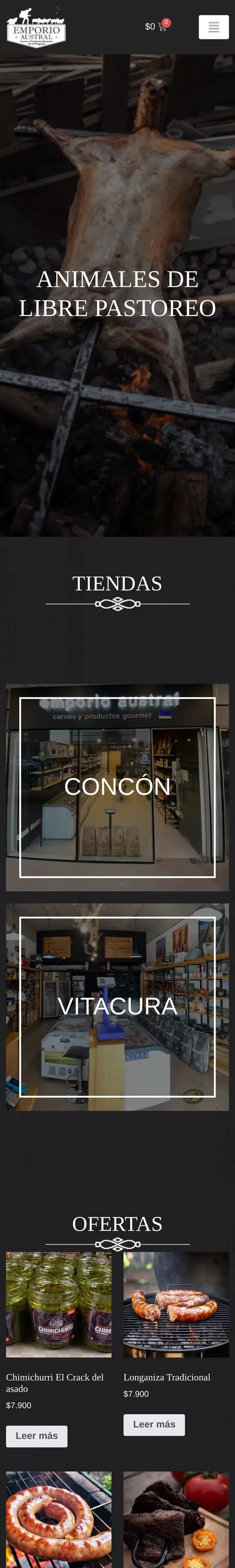 Sitio de Emporio Austral, hecho por RayoWeb