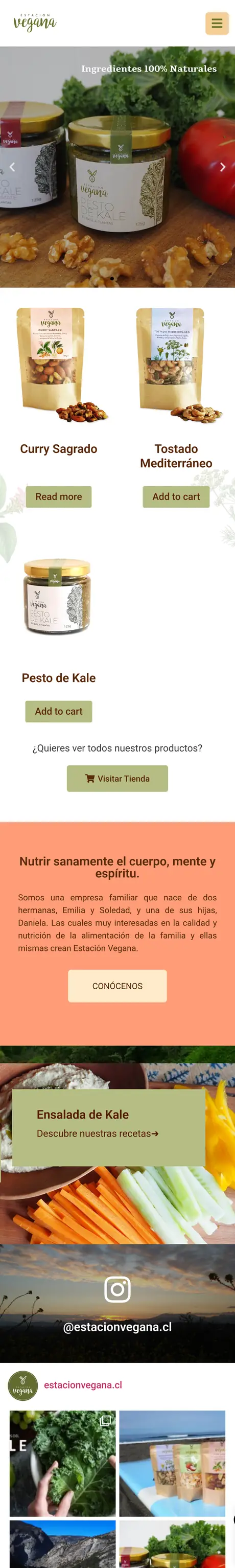 Sitio de Estación Vegana, hecho por RayoWeb