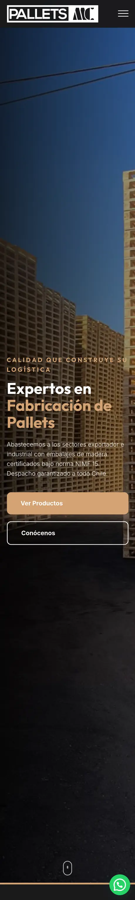 Sitio de Pallets MC, hecho por RayoWeb