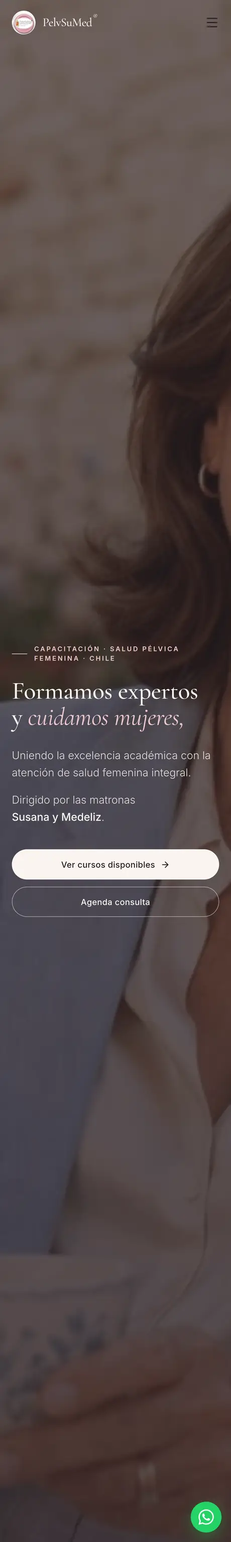 Sitio de PelvSuMed, hecho por RayoWeb