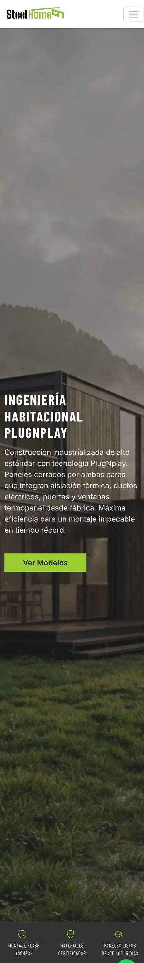 Sitio de Steel Home, hecho por RayoWeb